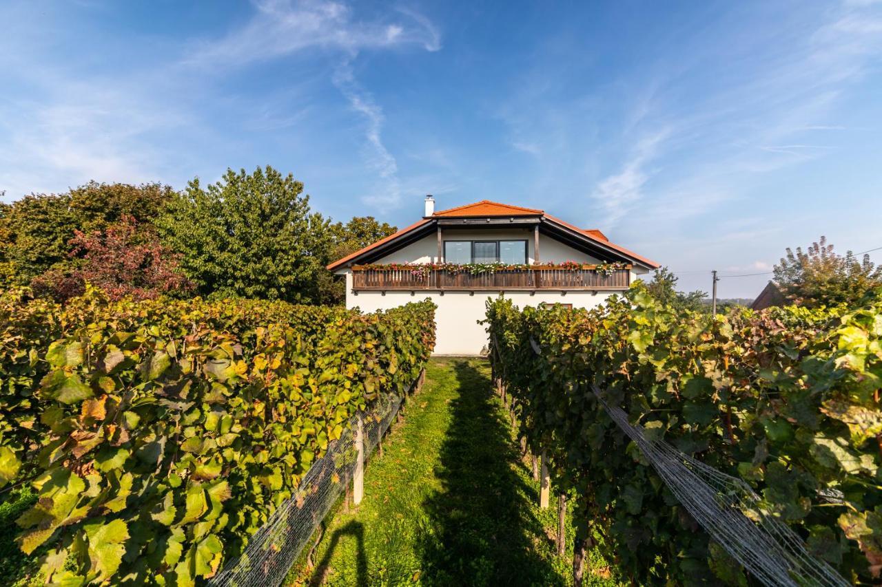 Vinarstvi Vymola Hotel Mikulčice Buitenkant foto